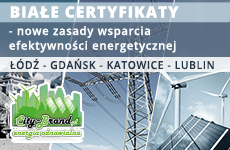 Cykl warsztatów: Białe certyfikaty – nowe zasady wsparcia efektywności energetycznej