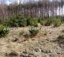 Michałówek - -1.00m2