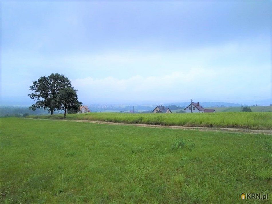 Pępice - -1.00m2 - 