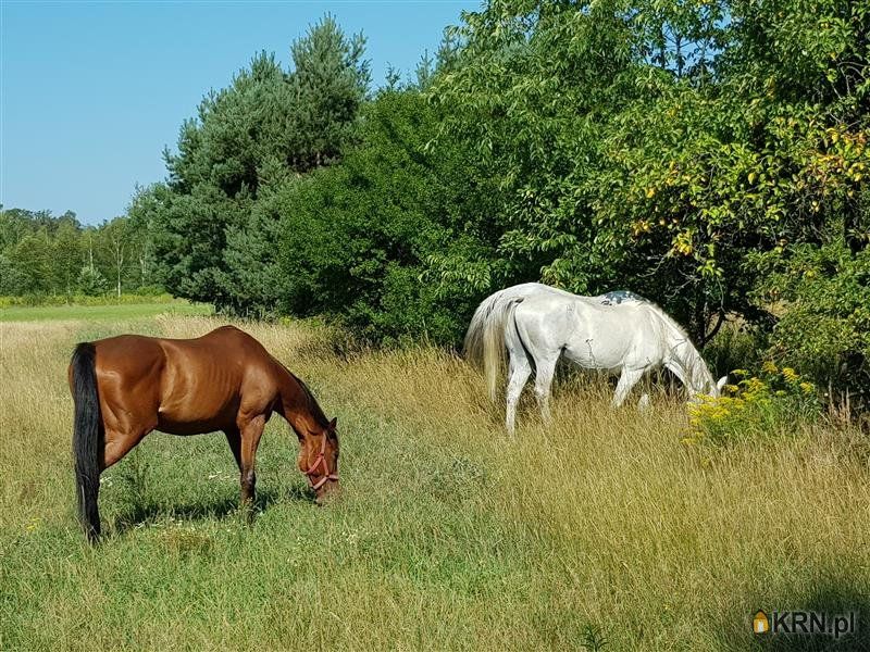 Sosnówka - -1.00m2 - 