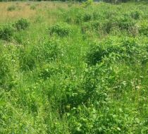 Gorzkie Pole - -1.00m2