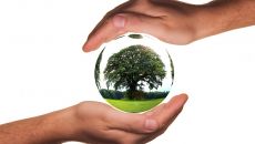 Eko-edukacja w biurowcach