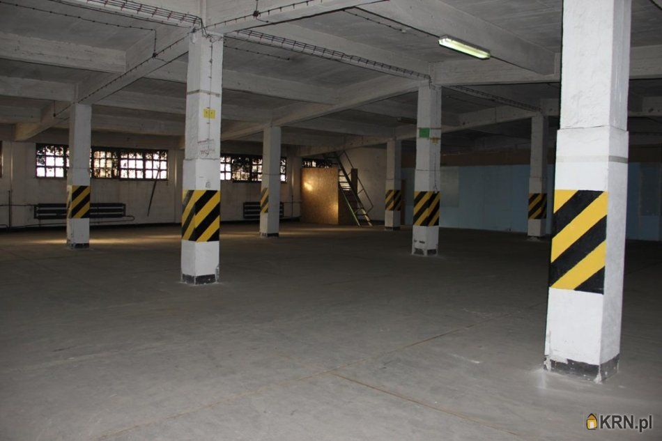 Sosnowiec - Ptasia - 1070.00m2 - 