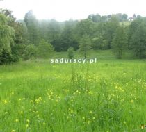 Kraków - R. Żelazowskiego - -1.00m2