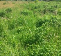 Szczytniki - -1.00m2