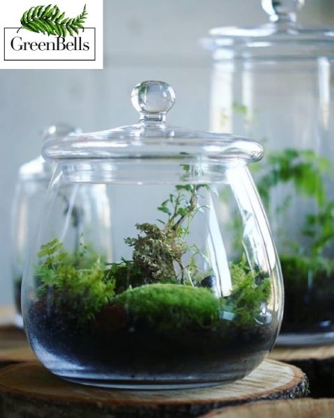  - Las w słoiku pozwala na wprowadzenie natury w przestrzeń biurową (fot. GreenBells)
