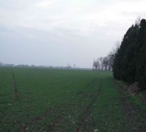 Swadzim - -1.00m2