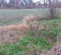 Zielątkowo - -1.00m2