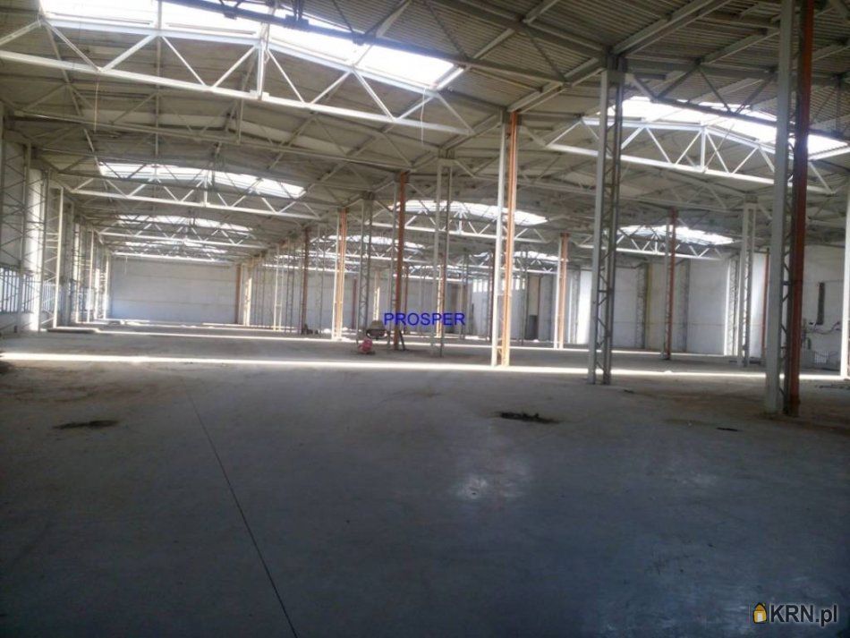 Olkusz - 6000.00m2 - 