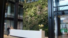 Green Design: Vertical Gardens – How To Keep Nature Close?