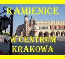 Kraków - bp. J. Prandoty - 369.00m2