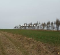 Władysław - -1.00m2