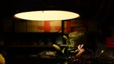 Aromas del Campo – designerskie oświetlenie, które definiuje charakter nowoczesnych wnętrz