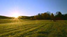 Najlepsza sprzedaż gruntów od 2008 roku