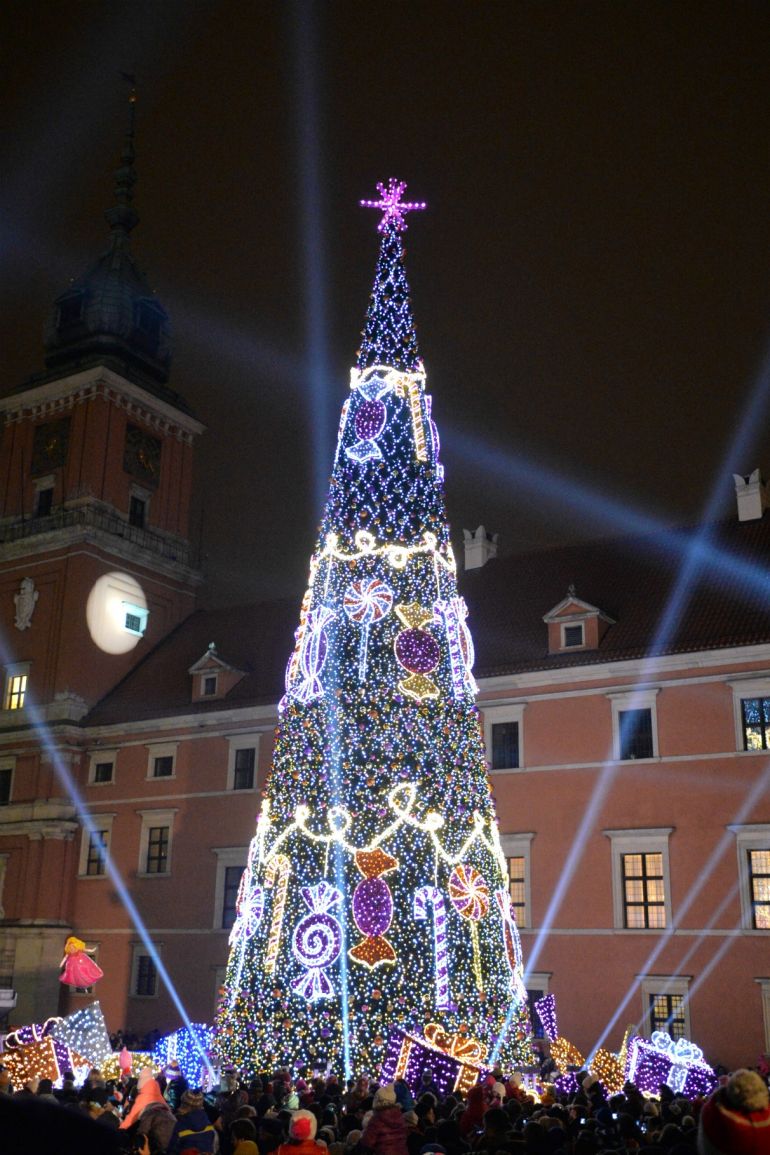 Kraków - choinka przy Kościele Mariackim, fot. Paweł Krawczyk