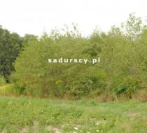 Głogoczów - -1.00m2