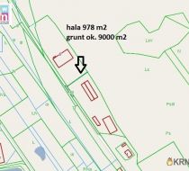 Woźniki - 978.00m2
