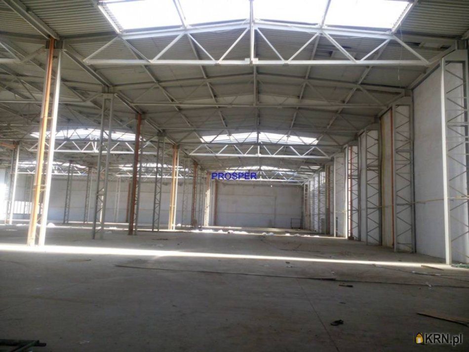 Olkusz - 6000.00m2 - 