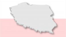 SEE szansą dla rodzimych firm?