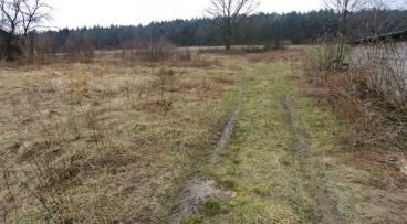 Szewce - -1.00m2