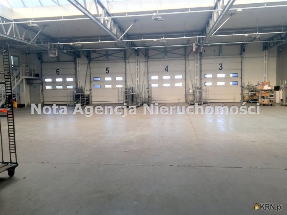 Świebodzice - 1000.00m2 - 