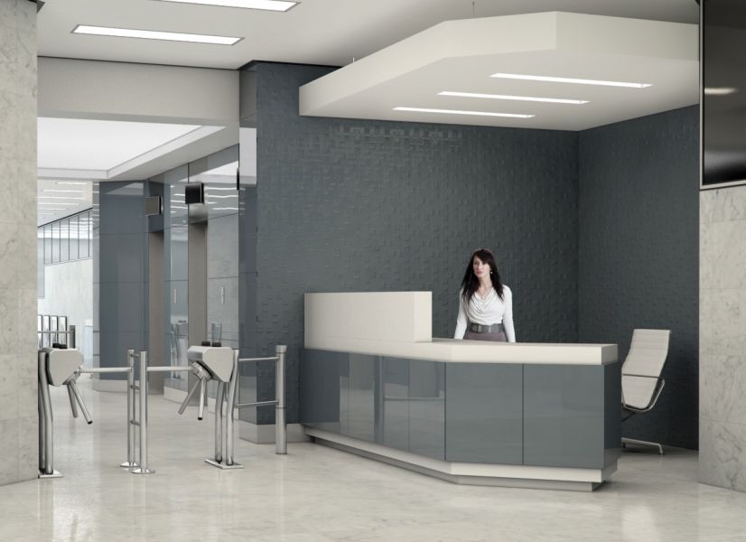  - Entrance zone, Interbiuro project and realization