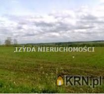 Witoszów Dolny - -1.00m2