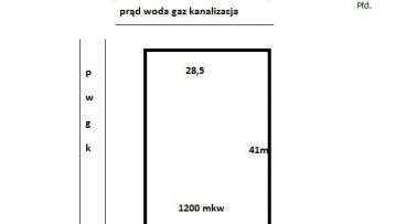 Borówiec - -1.00m2