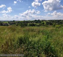 Garlica Murowana - -1.00m2