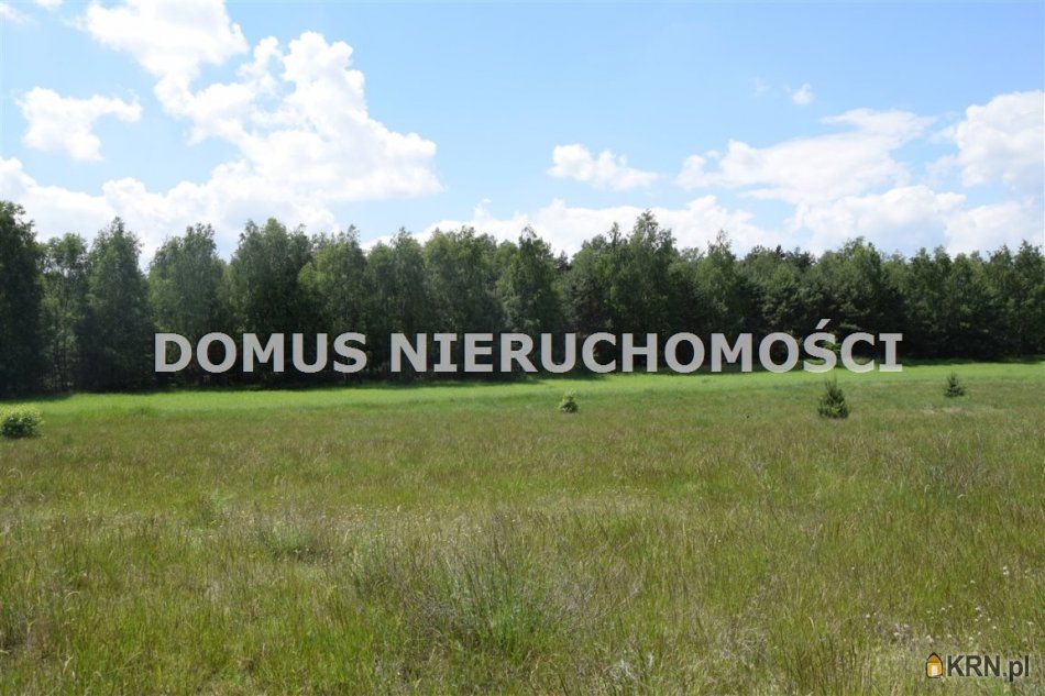 Żelechlinek - -1.00m2 - 