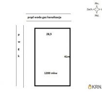 Borówiec - -1.00m2