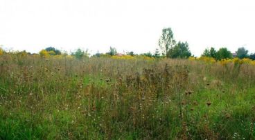 Kostrzyn - -1.00m2