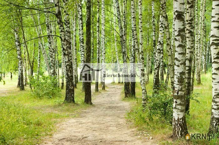 Dąbrowa Górnicza - -1.00m2 - 