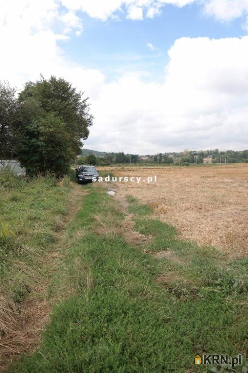 Prandocin-Iły - -1.00m2 - 