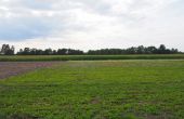Zawiszyn - -1.00m2