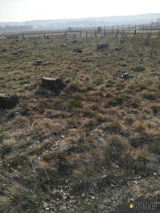 Twardogóra - Sosnowa - -1.00m2 - 