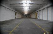 Sztum - , 12000.00m2