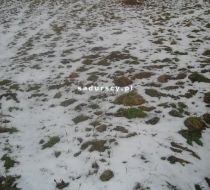 Łękawica - -1.00m2