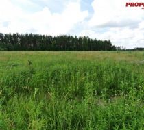 Bilcza - Pogodna - -1.00m2