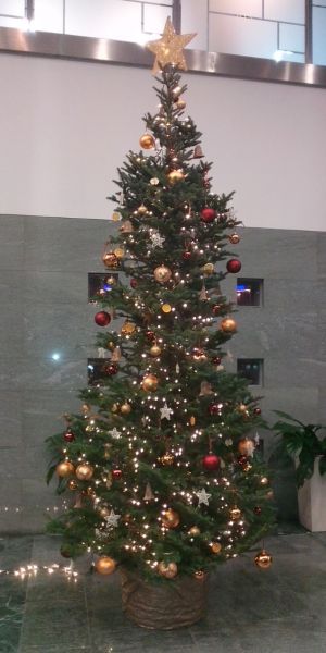  - Christmas tree in Tajfun office in Warsaw
