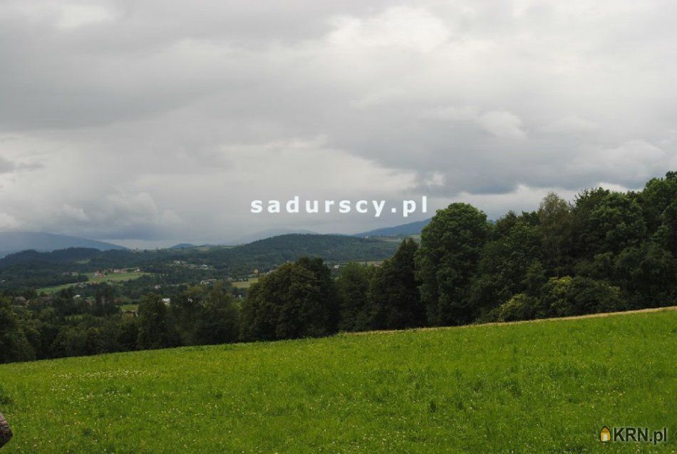 Brzezowa - -1.00m2 - 