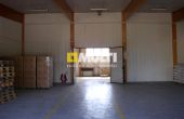 Szczecin - , 1214.00m2