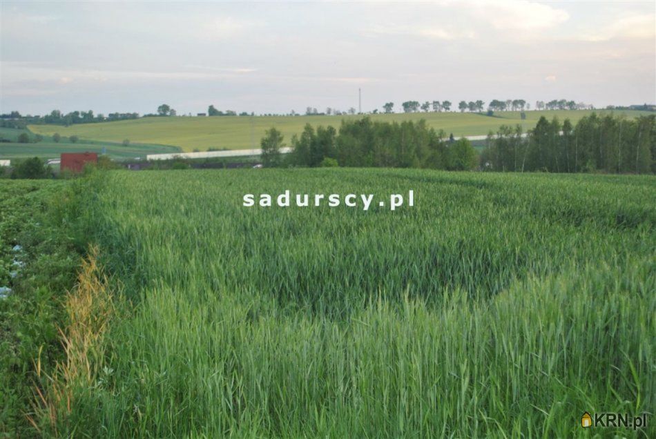 Dąbrowa - -1.00m2 - 