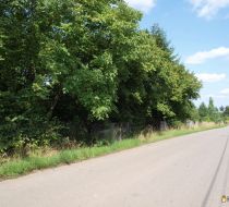 Wierzchowisko - -1.00m2