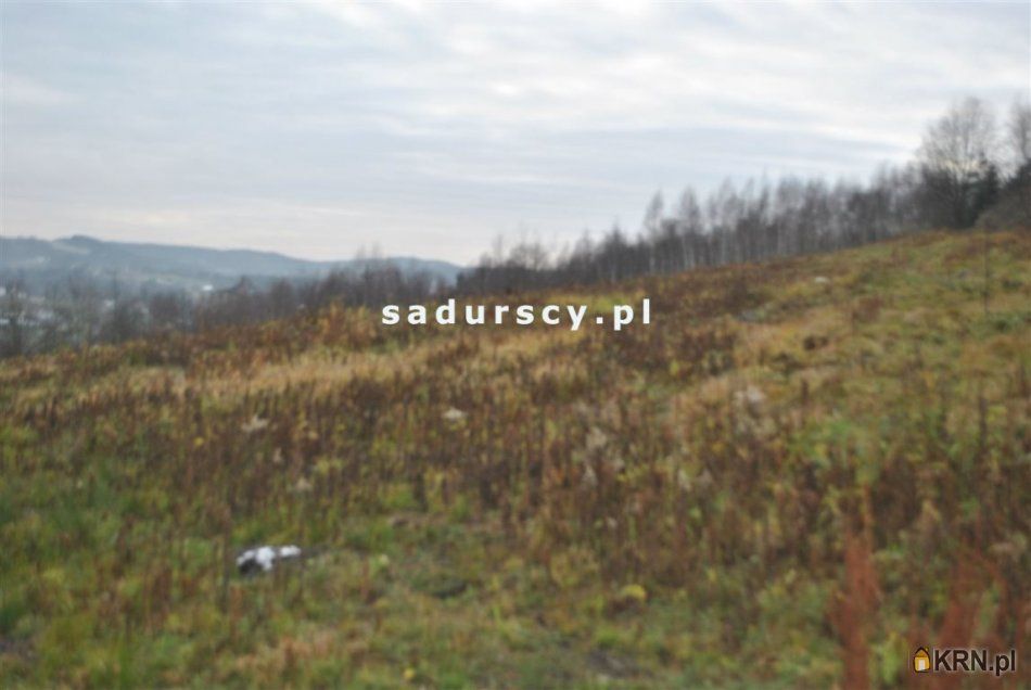 Głogoczów - -1.00m2 - 