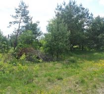 Niestachów - -1.00m2