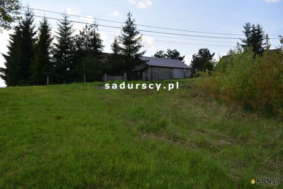 Siepraw - -1.00m2 - 