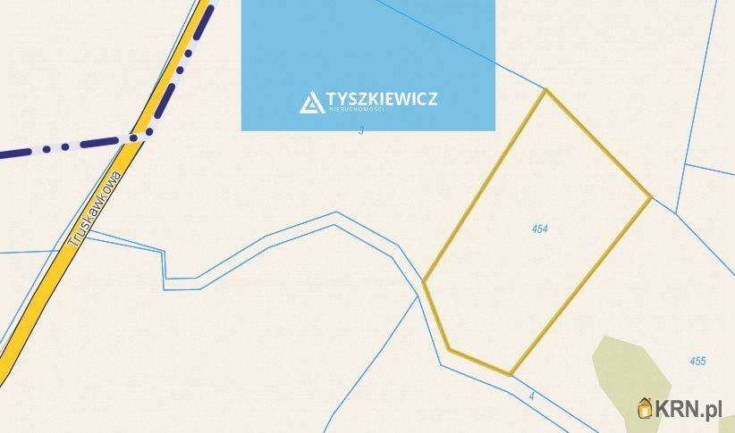 Kamienica Szlachecka - Truskawkowa - -1.00m2 - 