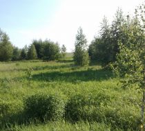 Przyborowo - -1.00m2