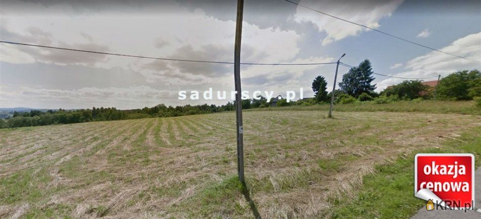 Olszowice - -1.00m2 - 